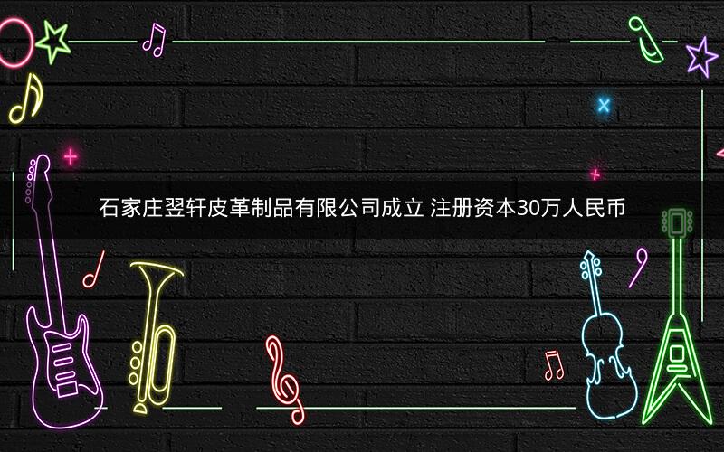 石家庄翌轩皮革制品有限公司成立 注册资本30万人民币