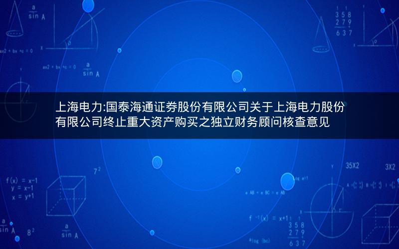 上海电力:国泰海通证券股份有限公司关于上海电力股份有限公司终止重大资产购买之独立财务顾问核查意见