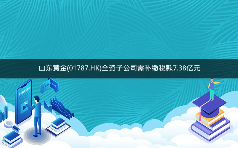 山东黄金(01787.HK)全资子公司需补缴税款7.38亿元 山东黄金(01787.HK)全资子公司需补缴税款7.38亿元