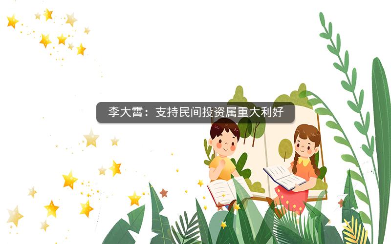 李大霄：支持民间投资属重大利好