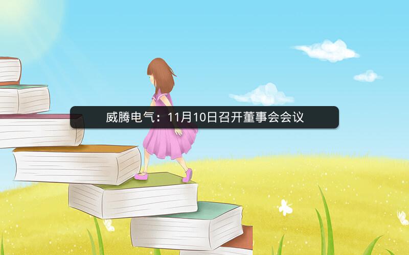 威腾电气：11月10日召开董事会会议