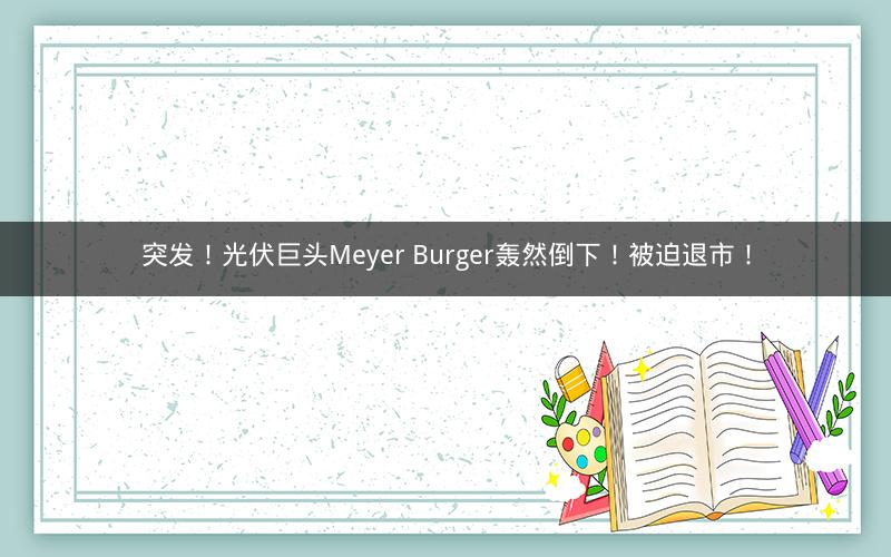 突发！光伏巨头Meyer Burger轰然倒下！被迫退市！