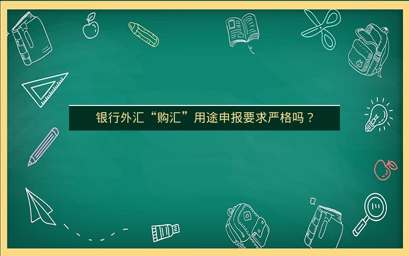 银行外汇“购汇”用途申报要求严格吗？