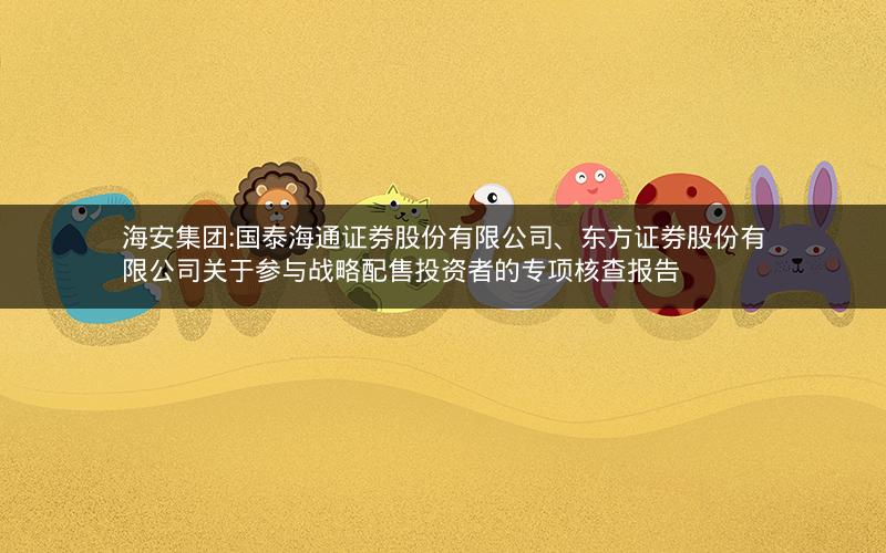 海安集团:国泰海通证券股份有限公司、东方证券股份有限公司关于参与战略配售投资者的专项核查报告