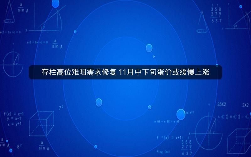 存栏高位难阻需求修复 11月中下旬蛋价或缓慢上涨