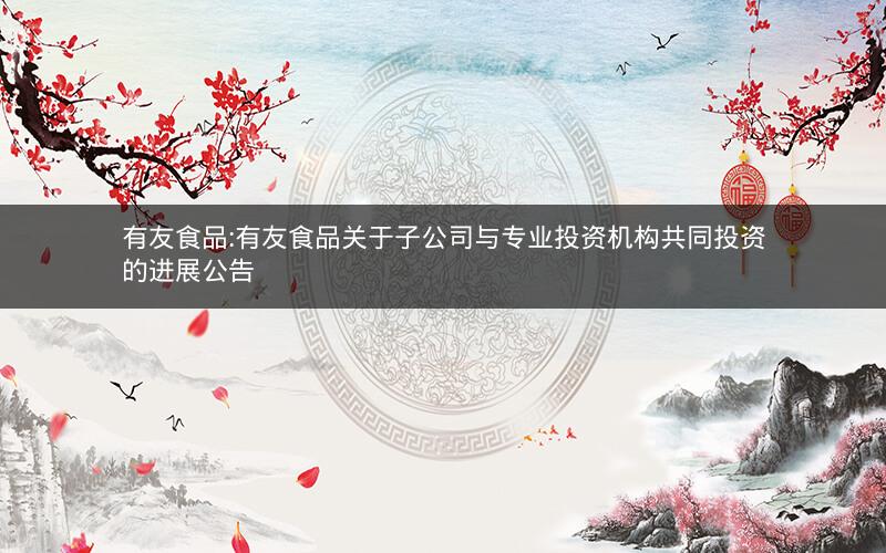 有友食品:有友食品关于子公司与专业投资机构共同投资的进展公告
