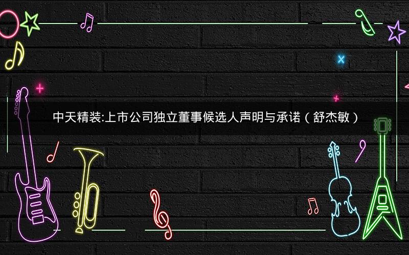 中天精装:上市公司独立董事候选人声明与承诺（舒杰敏）