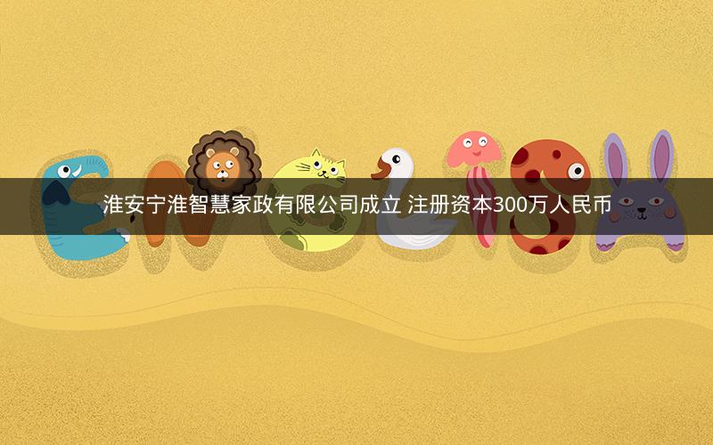 淮安宁淮智慧家政有限公司成立 注册资本300万人民币 淮安宁淮智慧家政有限公司成立 注册资本300万人民币