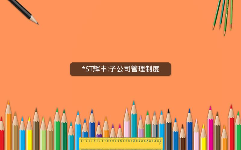 *ST辉丰:子公司管理制度