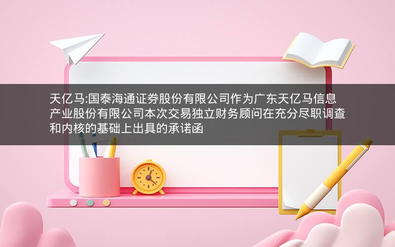 天亿马:国泰海通证券股份有限公司作为广东天亿马信息产业股份有限公司本次交易独立财务顾问在充分尽职调查和内核的基础上出具的承诺函
