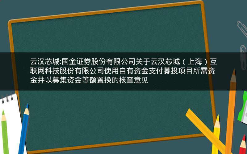 云汉芯城:国金证券股份有限公司关于云汉芯城（上海）互联网科技股份有限公司使用自有资金支付募投项目所需资金并以募集资金等额置换的核查意见