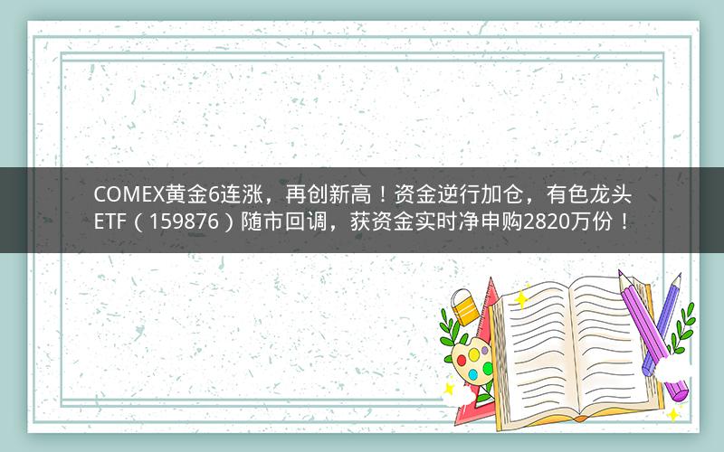 COMEX黄金6连涨，再创新高！资金逆行加仓，有色龙头ETF（159876）随市回调，获资金实时净申购2820万份！