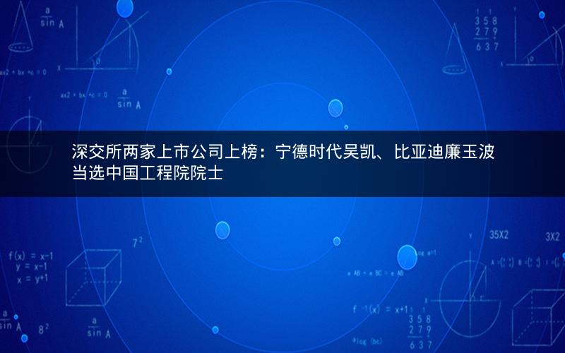 深交所两家上市公司上榜:宁德时代吴凯、比亚迪廉玉波当选中国工程院院士 深交所两家上市公司上榜:宁德时代吴凯、比亚迪廉玉波当选中国工程院院士