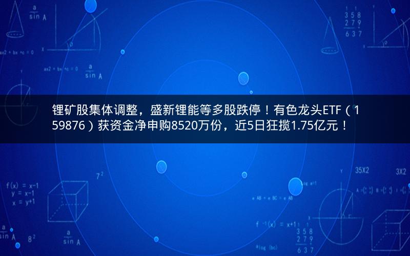锂矿股集体调整，盛新锂能等多股跌停！有色龙头ETF（159876）获资金净申购8520万份，近5日狂揽1.75亿元！