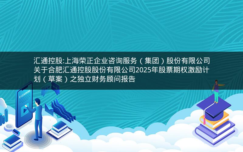 汇通控股:上海荣正企业咨询服务（集团）股份有限公司关于合肥汇通控股股份有限公司2025年股票期权激励计划（草案）之独立财务顾问报告