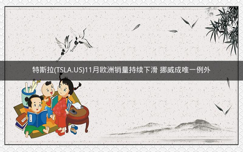 特斯拉(TSLA.US)11月欧洲销量持续下滑 挪威成唯一例外