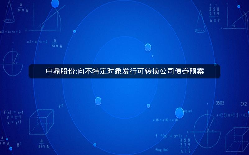 中鼎股份:向不特定对象发行可转换公司债券预案