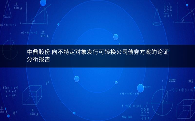 中鼎股份:向不特定对象发行可转换公司债券方案的论证分析报告