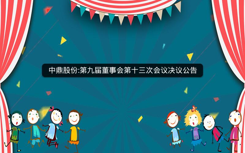 中鼎股份:第九届董事会第十三次会议决议公告