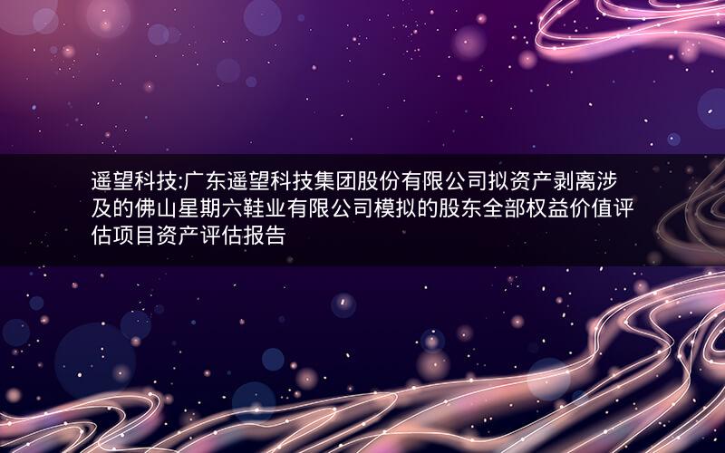 遥望科技:广东遥望科技集团股份有限公司拟资产剥离涉及的佛山星期六鞋业有限公司模拟的股东全部权益价值评估项目资产评估报告