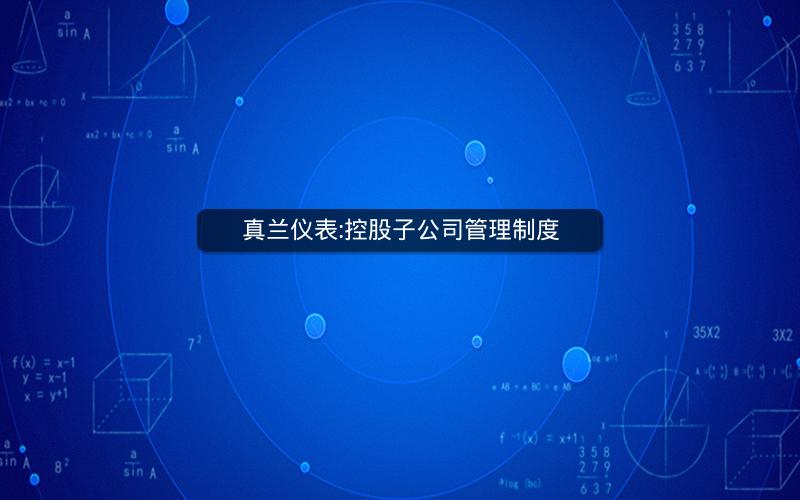 真兰仪表:控股子公司管理制度