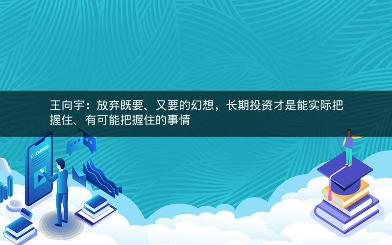 王向宇：放弃既要、又要的幻想，长期投资才是能实际把握住、有可能把握住的事情