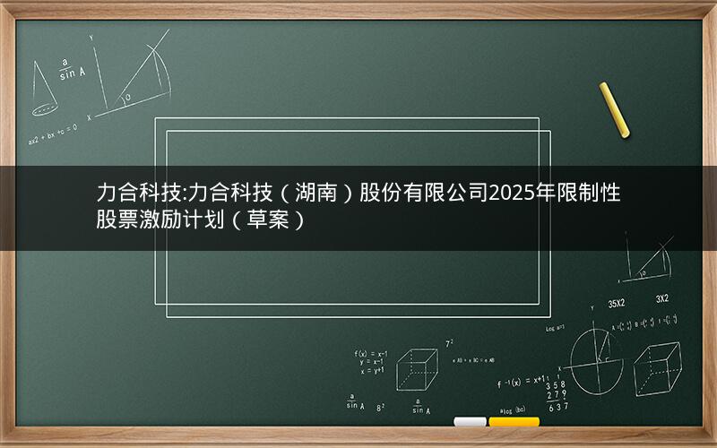 力合科技:力合科技（湖南）股份有限公司2025年限制性股票激励计划（草案）