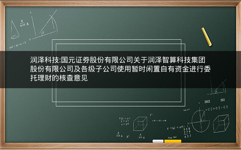 润泽科技:国元证券股份有限公司关于润泽智算科技集团股份有限公司及各级子公司使用暂时闲置自有资金进行委托理财的核查意见