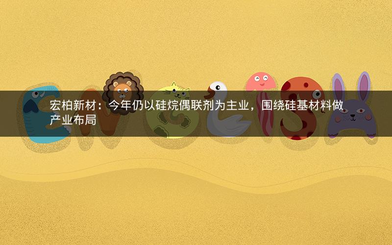 宏柏新材：今年仍以硅烷偶联剂为主业，围绕硅基材料做产业布局