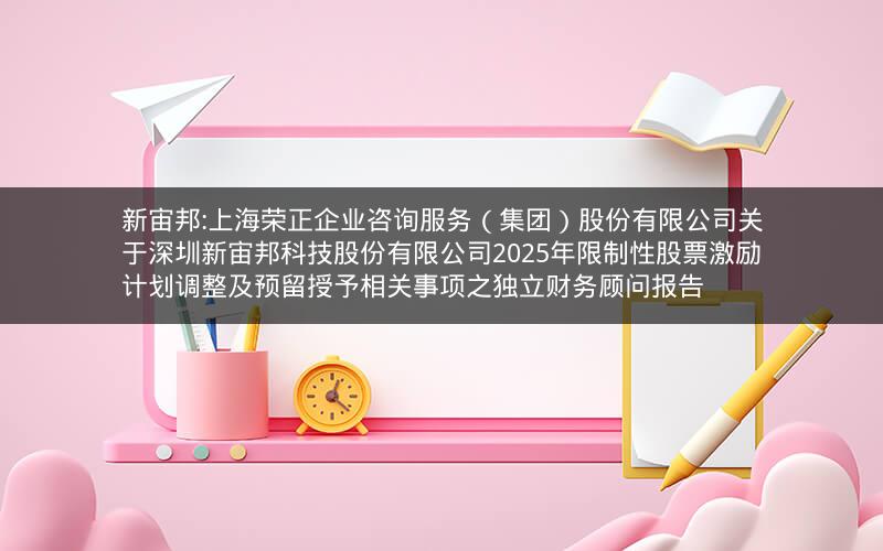 新宙邦:上海荣正企业咨询服务（集团）股份有限公司关于深圳新宙邦科技股份有限公司2025年限制性股票激励计划调整及预留授予相关事项之独立财务顾问报告