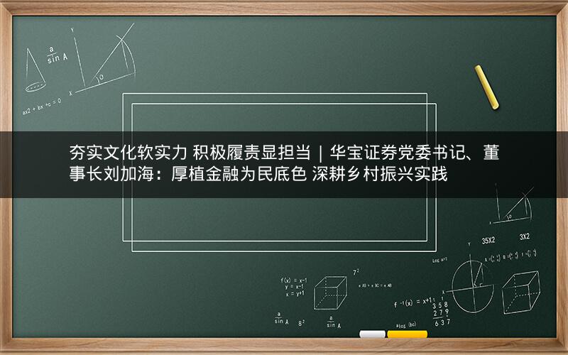 夯实文化软实力 积极履责显担当 | 华宝证券党委书记、董事长刘加海：厚植金融为民底色 深耕乡村振兴实践