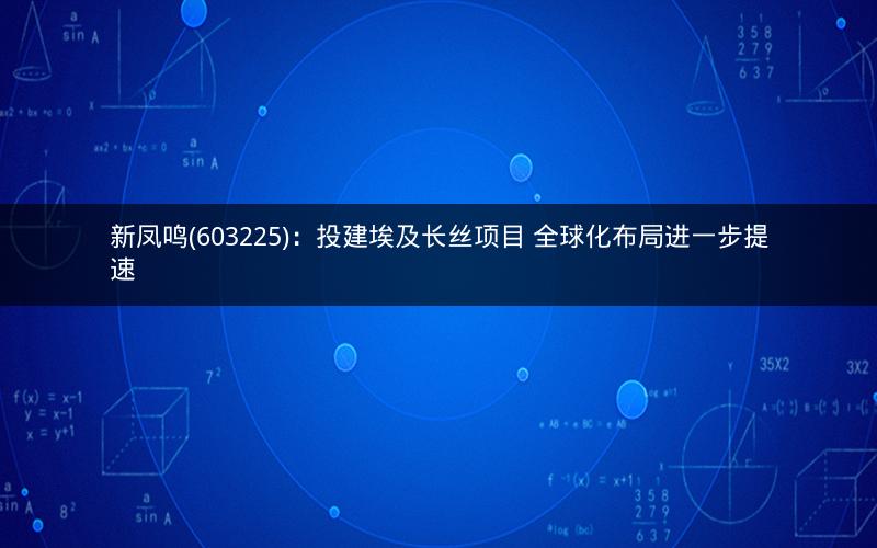 新凤鸣(603225)：投建埃及长丝项目 全球化布局进一步提速