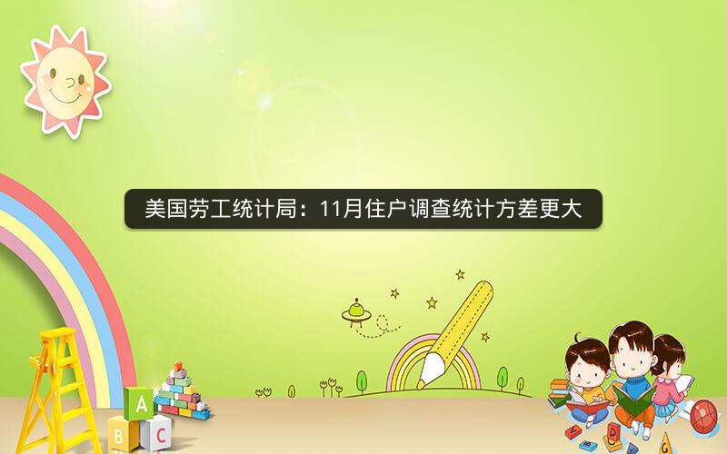 美国劳工统计局：11月住户调查统计方差更大