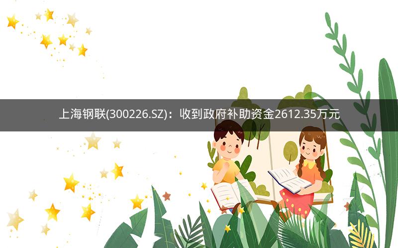 上海钢联(300226.SZ)：收到政府补助资金2612.35万元