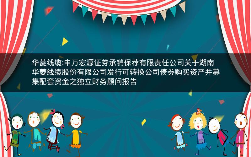华菱线缆:申万宏源证券承销保荐有限责任公司关于湖南华菱线缆股份有限公司发行可转换公司债券购买资产并募集配套资金之独立财务顾问报告