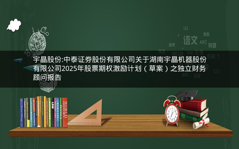 宇晶股份:中泰证券股份有限公司关于湖南宇晶机器股份有限公司2025年股票期权激励计划（草案）之独立财务顾问报告