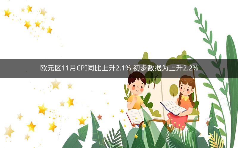欧元区11月CPI同比上升2.1% 初步数据为上升2.2%