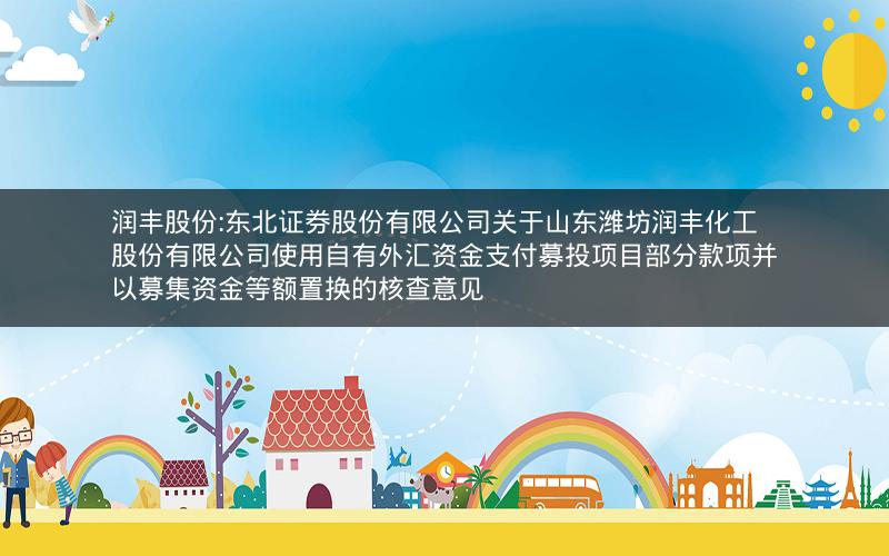 润丰股份:东北证券股份有限公司关于山东潍坊润丰化工股份有限公司使用自有外汇资金支付募投项目部分款项并以募集资金等额置换的核查意见