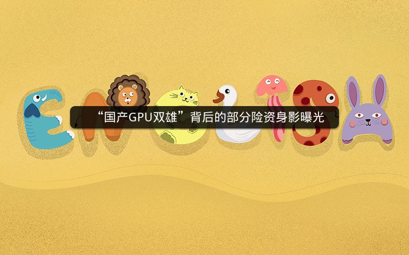 “国产GPU双雄”背后的部分险资身影曝光