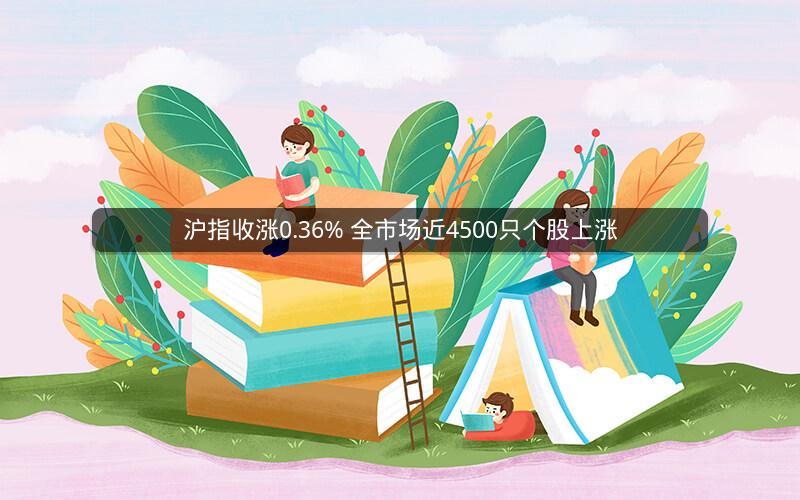 沪指收涨0.36% 全市场近4500只个股上涨