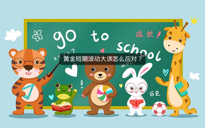 黄金短期波动大该怎么应对？