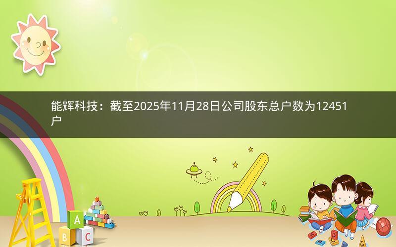 能辉科技：截至2025年11月28日公司股东总户数为12451户