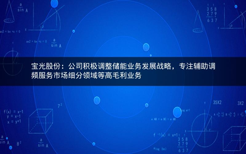 宝光股份：公司积极调整储能业务发展战略，专注辅助调频服务市场细分领域等高毛利业务