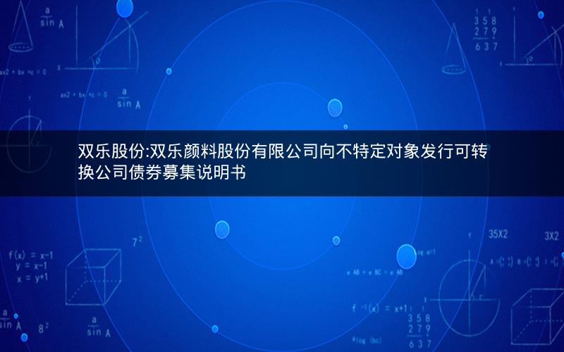 双乐股份:双乐颜料股份有限公司向不特定对象发行可转换公司债券募集说明书