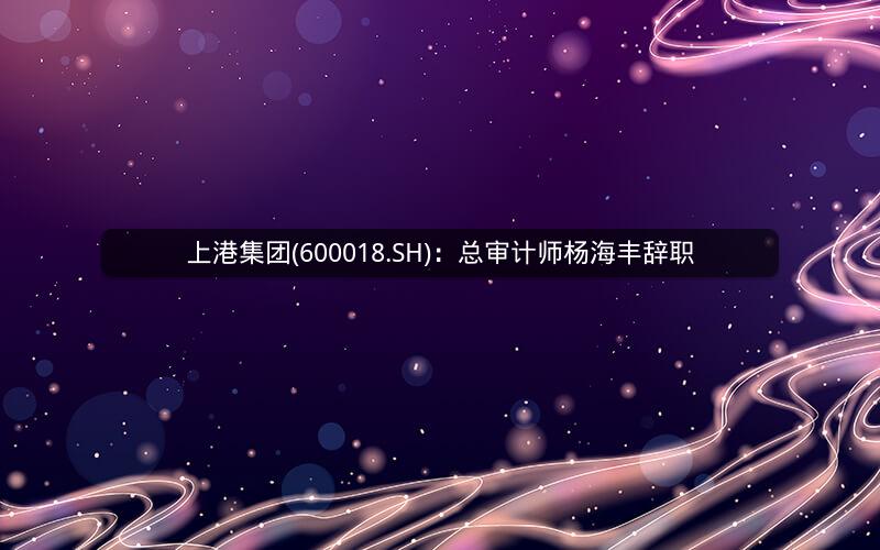 上港集团(600018.SH)：总审计师杨海丰辞职