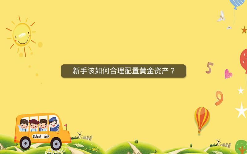 新手该如何合理配置黄金资产？