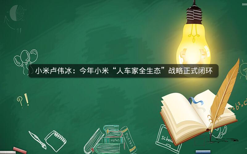 小米卢伟冰：今年小米“人车家全生态”战略正式闭环