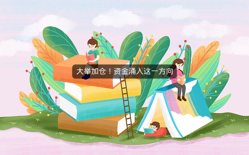 大举加仓！资金涌入这一方向