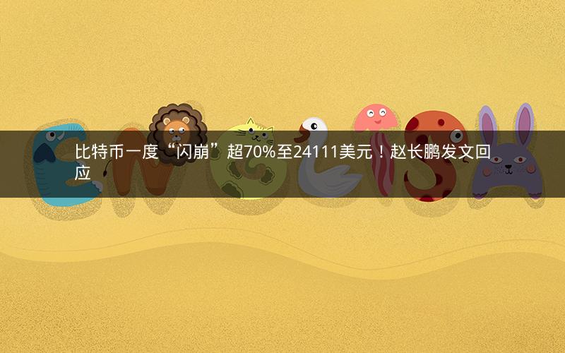 比特币一度“闪崩”超70%至24111美元！赵长鹏发文回应