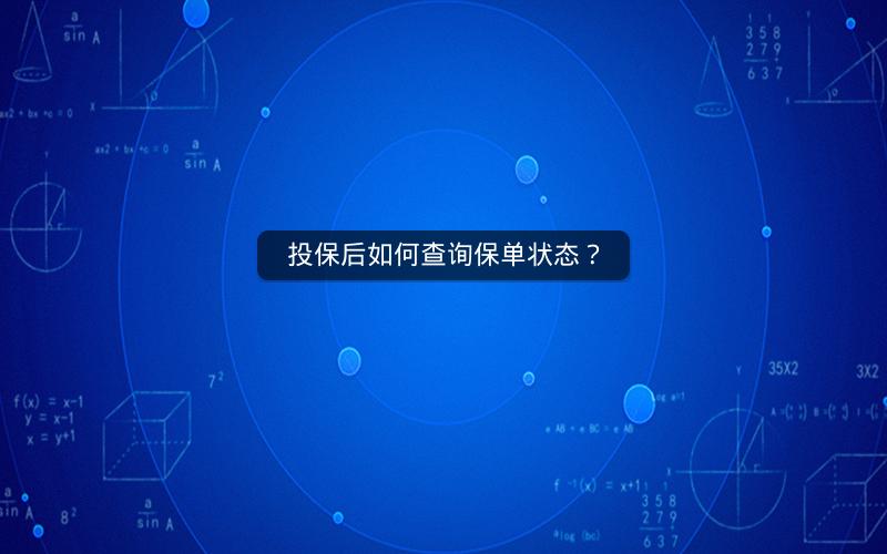 投保后如何查询保单状态？